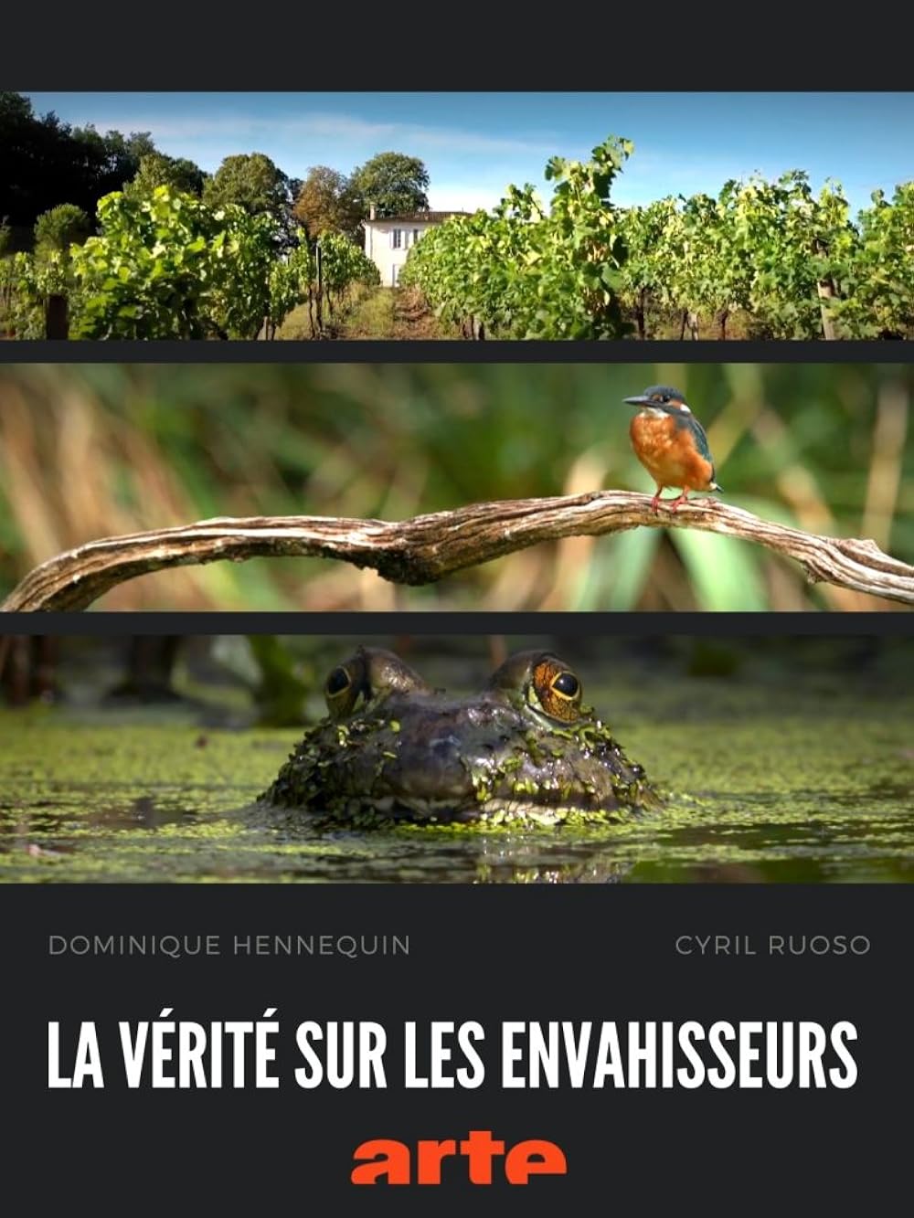 Musiques additionnelles composées sur les deux épisodes diffusés sur Arte en 2024. Bande Originale Anthony Touzalin et Thomas Peyrounette